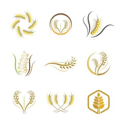 Wheat Logo Vector Art, Icons, and Graphics for Free Download