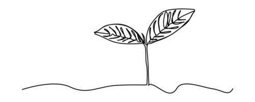 continuous line sapling growing in the garden vector