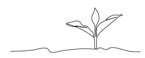 continuous line sapling growing in the garden vector