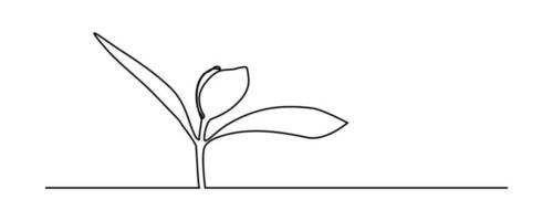 continuous line sapling growing in the garden vector