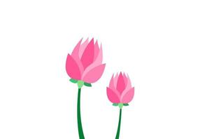 Lotus pink flowers branch flat icon illustration vector