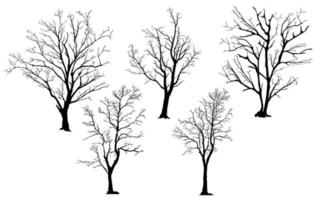 silhouette of tree without leaves vector