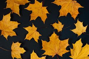 Autumn background of yellow maple leaves on black background. photo