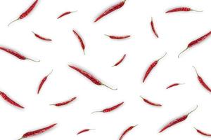 Dried and hot chili on white background for isolated. photo