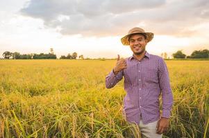 joven agricultor asiático y campo de arroz con el pulgar hacia arriba.
