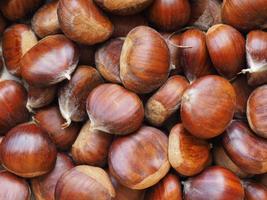 Chestnuts food background photo