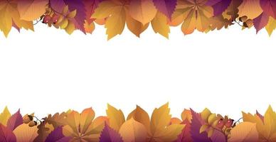 Realistic autumn foliage, white background with space for text vector