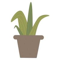 potty succulent, green houseplant vector