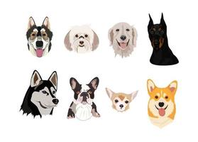 Dogs collection. Breeds of dogs isolated on white vector