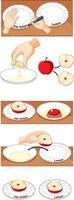 Apple oxidation science experiment vector