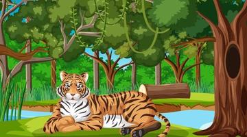 Un tigre en el bosque o la escena de la selva tropical con muchos árboles. vector