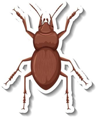 A sticker template with top view of a beetle isolated