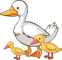 Mother and baby duck cartoon on white background vector