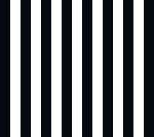 Black and white pattern by stripes Seamless For Printing wall textile