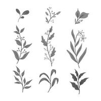 set of leaves black and white vector