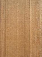 Wood texture background photo