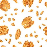 Colorful seamless pattern with illustrations of walnut kernels vector