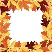 Square frame made of autumn leaves. A design element. Vector. vector