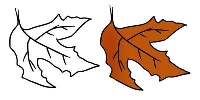 Hand drawn orange fall leave vector