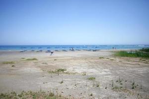 Frangokastello beach creta island covid-19 season background prints photo