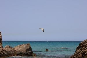 Xerokampos beach creta island covid-19 holidays high quality prints photo