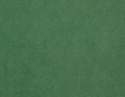 Green paper texture background photo