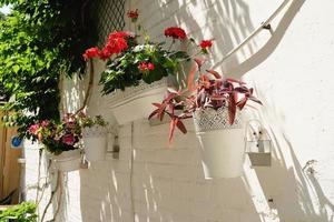 Colorfull floral street with white brick wall in Mediterranean town photo