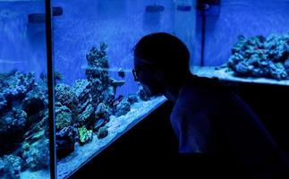 Woman silhouette watching aquariums with fish in oceanarium
