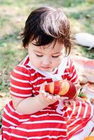 Cute little baby in a red dress and srtaw hat on a picnic in the park photo