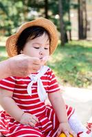 Cute little baby in a red dress and srtaw hat on a picnic in the park photo