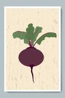 Beetroot. Whole Vegetable with Leaves and Texture Background vector