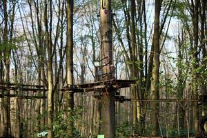 Kletterwald in haltern am see man alone modeling background prints photo