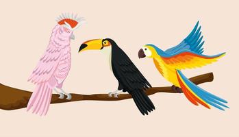 parrots with toucan on branch isolated icon vector