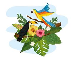 parrot with toucan and leafs nature vector