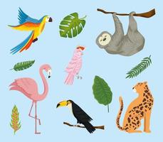 conjunto de animales exóticos tropicales vector