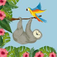 bear sloth hanging of branch with parrot and flowers vector