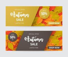 Set of autumn sale banner with leaves. Vector illustration