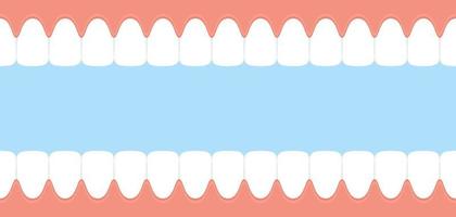 Teeth and gum. Open mouth inside view. Dental banner vector