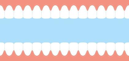 Teeth and gum. Open mouth inside view. Dental banner vector