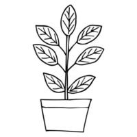 plantas caseras, garabato vector