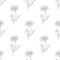 Arnica, seamless pattern vector