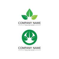 Logos of green Tree leaf ecology design nature logo vector