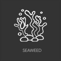 Seaweed chalk white icon on black background vector