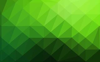 Light Green vector polygonal template.