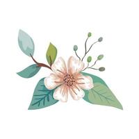 cute flower with leafs natural isolated icon vector