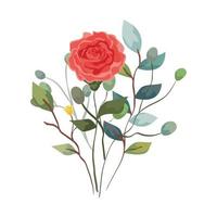 cute rose with branches and leafs natural vector