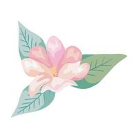 cute flower with leafs natural isolated icon vector