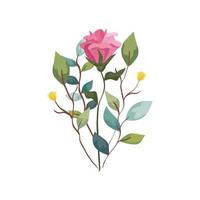 cute flower with branches and leafs natural vector