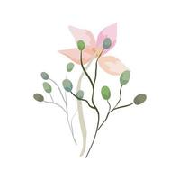 cute flower with branches and leafs natural vector