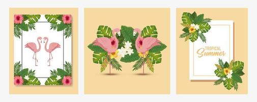 conjunto de cartel de verano tropical con flamencos y hojas vector